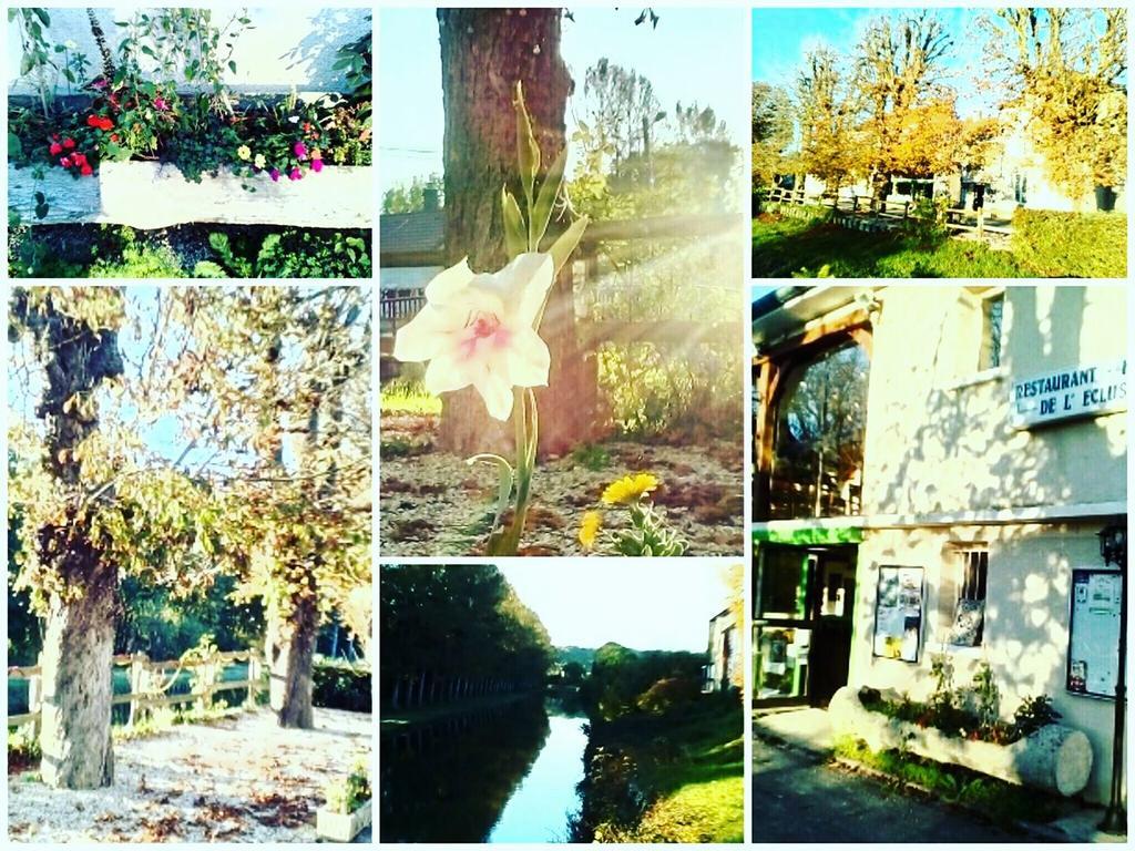 Hotel-Restaurant De L'Ecluse 79 Chassignelles Dış mekan fotoğraf